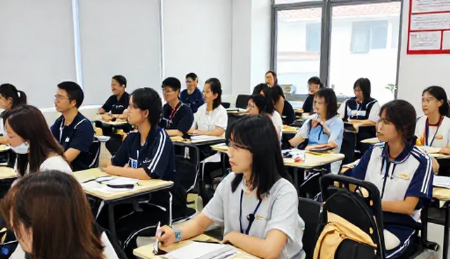 技术转让中使用与维护建议的实践流程